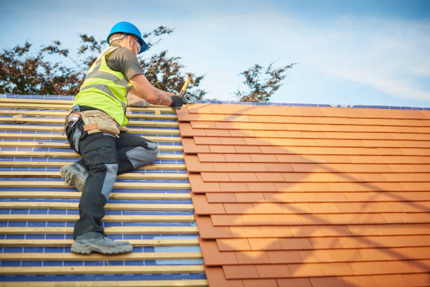 Best Roof Inspection  in Walthourville, GA